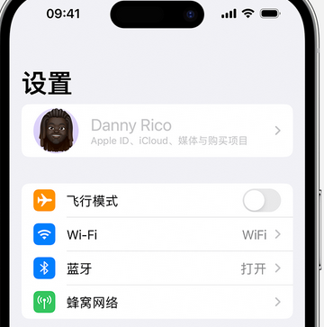 曾都appleID维修服务iPhone设置中Apple ID显示为灰色无法使用 