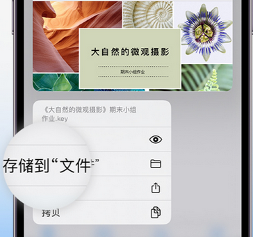 曾都apple维修中心分享iPhone文件应用中存储和找到下载文件