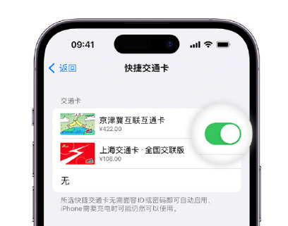 曾都apple维修点分享iPhone上更换Apple Pay快捷交通卡手绘卡面 