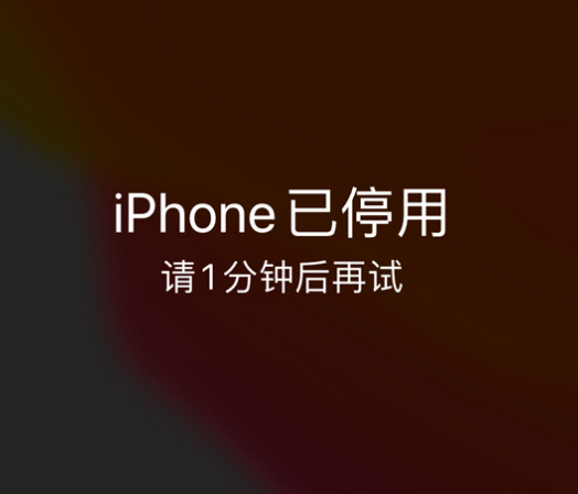 曾都苹果手机维修分享:iPhone 显示“不可用”或“已停用”怎么办？还能保留数据吗？ 