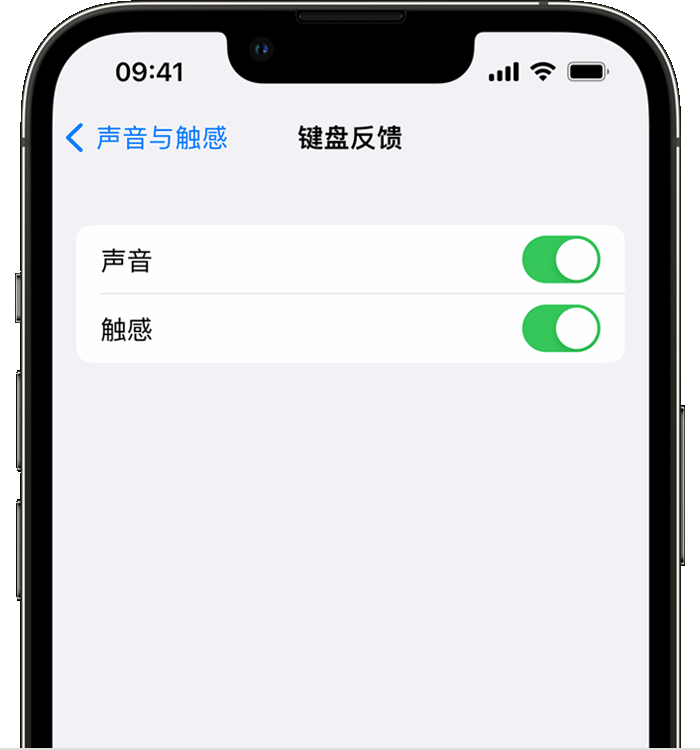 曾都苹果14维修店分享如何在 iPhone 14 机型中使用触感键盘 