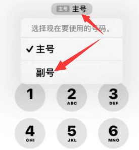 曾都苹果14维修店分享iPhone 14 Pro Max使用副卡打电话的方法 