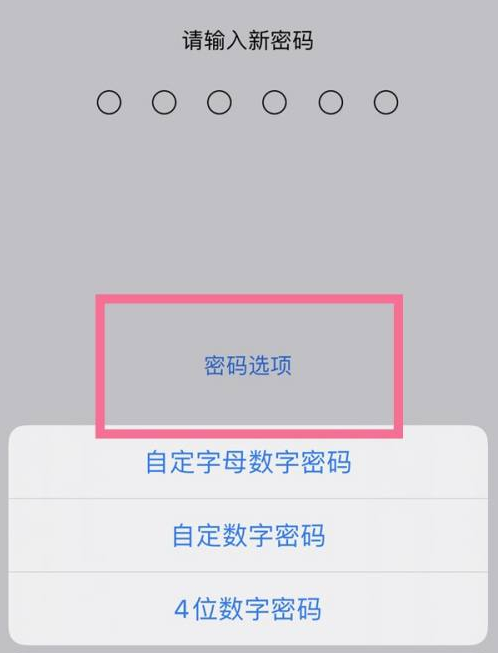 曾都苹果14维修分享iPhone 14plus设置密码的方法 