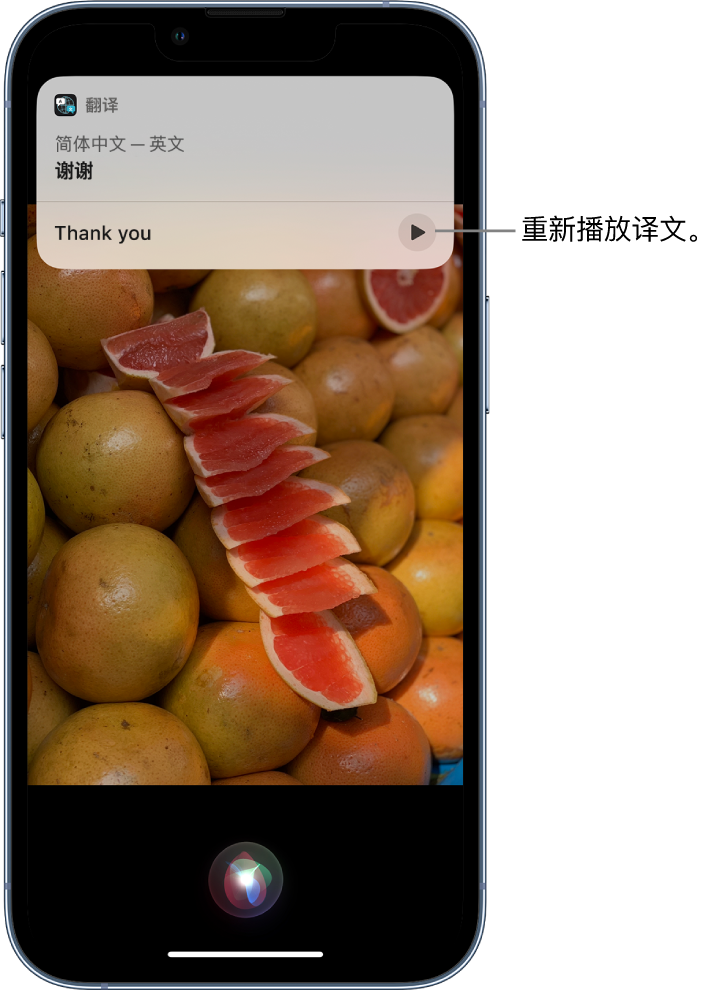 曾都苹果14维修分享 iPhone 14 机型中使用 Siri：了解 Siri 能帮你做什么 