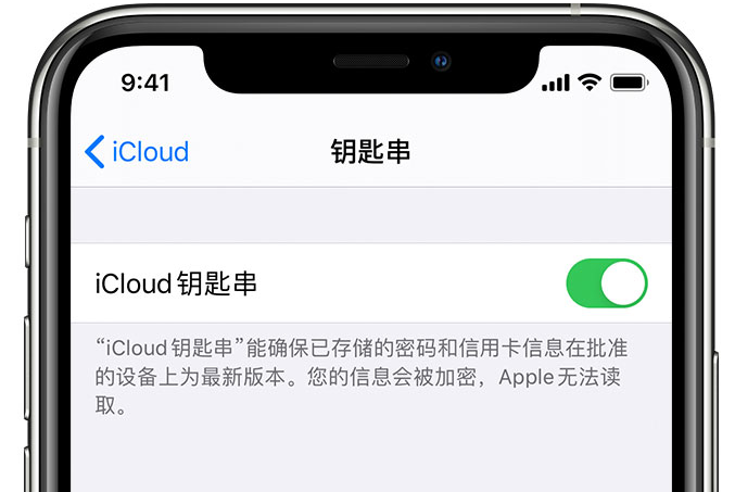 曾都苹果手机维修分享在 iPhone 上开启 iCloud 钥匙串之后会储存哪些信息 