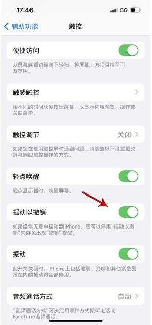 曾都苹果手机维修分享iPhone手机如何设置摇一摇删除文字 