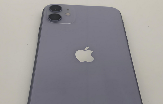 曾都苹果11系统维修分享iPhone11手机系统崩溃无法开机如何解决