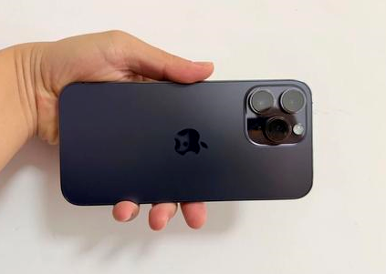 曾都苹果维修点分享iPhone 14 Pro Max黑屏少见故障盘点 